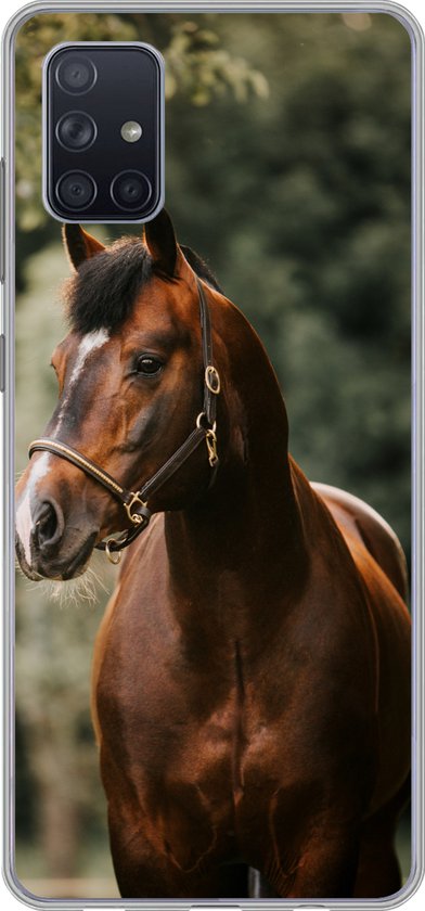Telefoonhoesje Geschikt voor Samsung Galaxy A71 hoesje - Paard - Takken - Portret - Siliconen Telefoonhoesje