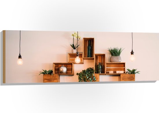 Hout - Lampen Kistjes met Planten aan de Muur - 120x40 cm - 9 mm dik - Foto... | bol.com