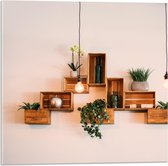 Acrylglas - Trio Lampen voor Kistjes met Planten aan de Muur - 50x50 cm Foto op Acrylglas (Met Ophangsysteem)