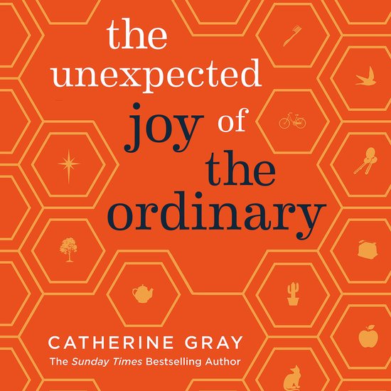 The Unexpected Joy Of-The Unexpected Joy of the Ordinary - cover