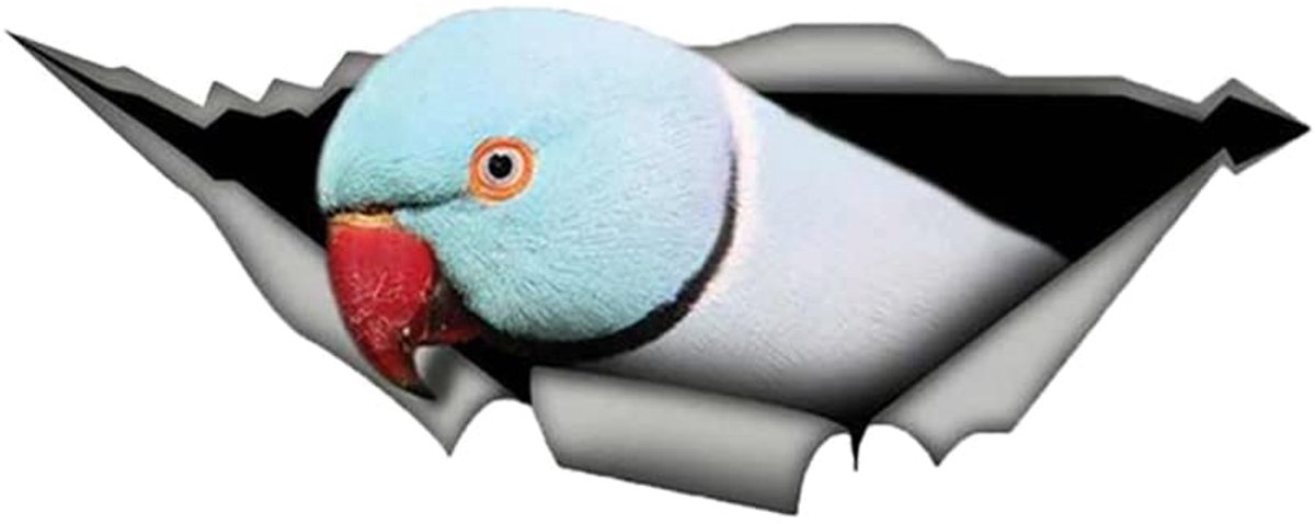 Parrot #3 3D Car Stickers - 2 Stuks - Reflecterend en Waterproof