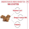 Drie beige, botvormige brokjes liggen naast elkaar. Pijlen verbinden de brokjes met de tekst: Vitamine C en E, Omega-3 vetzuur DHA en Prebiotica.