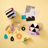 Petite Amélie Montessori Speelgoed Box – 0-3 Maanden – Fijne Motoriek – Focus & Concentratie – Zintuiglijke Verkenning – Hoogcontrast Speelgoed voor Visuele Ontwikkeling – Perfect Cadeau