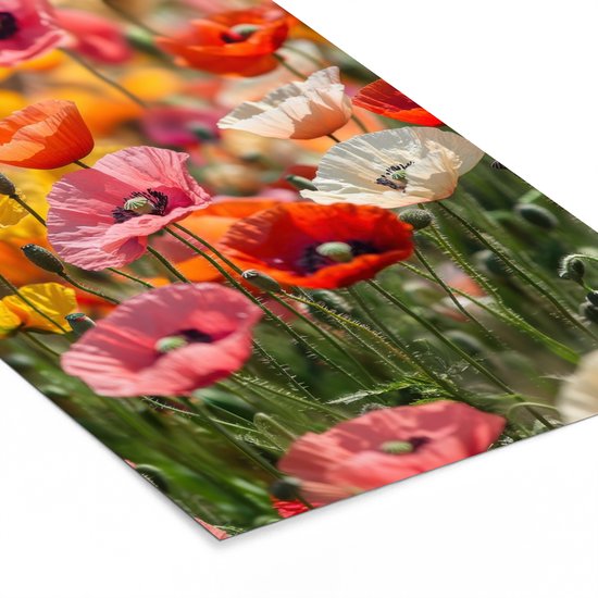 Poster in lijst - Fotolijst 40x60 cm - Posters - Bloemenveld - Klaprozen - Kleurrijk - Posterlijst zwart - Decoratie - Wanddecoratie woonkamer - Muurdecoratie slaapkamer