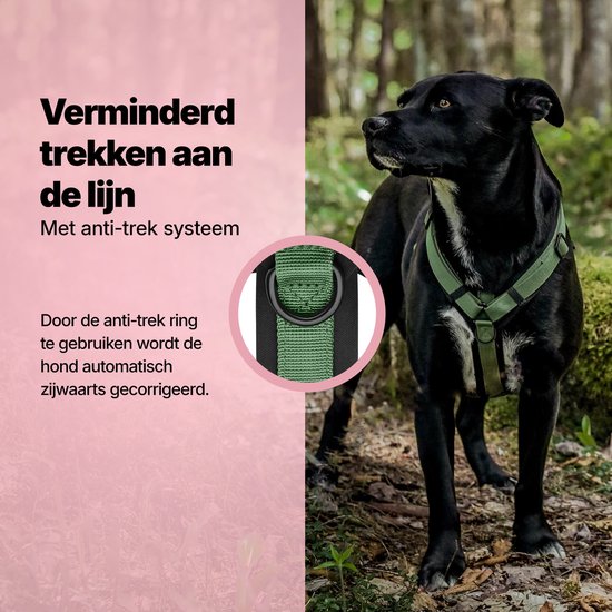 Zwarte hond met groen anti-trek hondentuigje in het bos. De anti-trek ring corrigeert de hond zijwaarts.