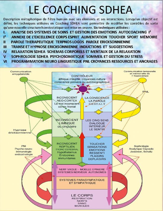 Cours de coaching thérapeutique SDHEA - cover