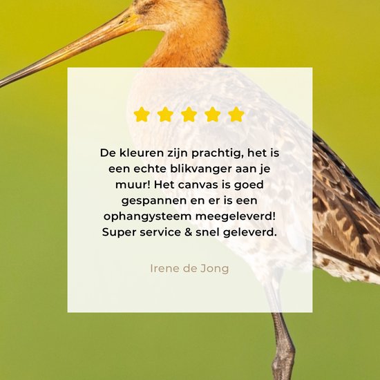 Toile - Tableau - Vogel - Animaux - Barge à queue noire - Perche - Vert - Peintures sur toile - Photo sur toile - 120x160 cm - Décoration murale - Salon