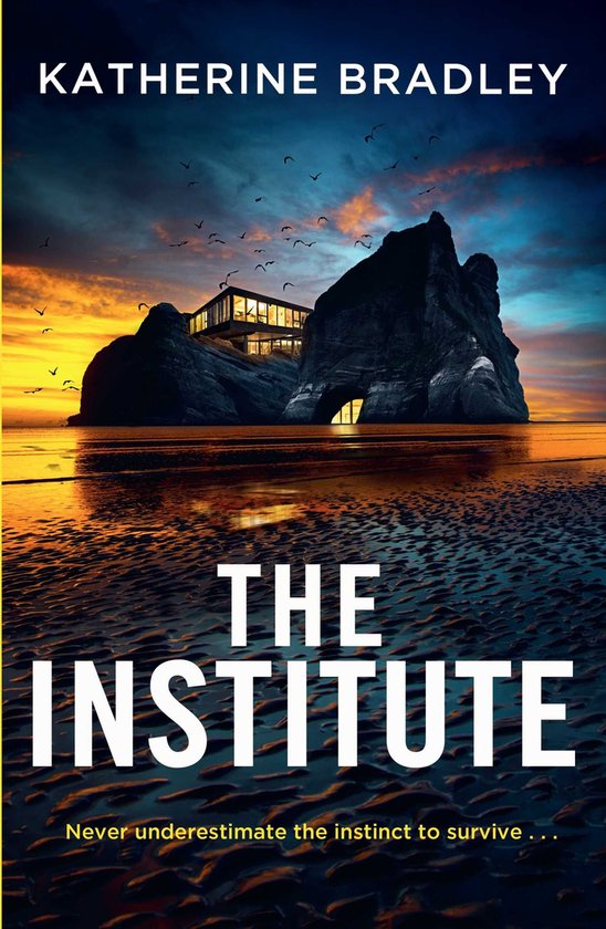 The Institute - cover
