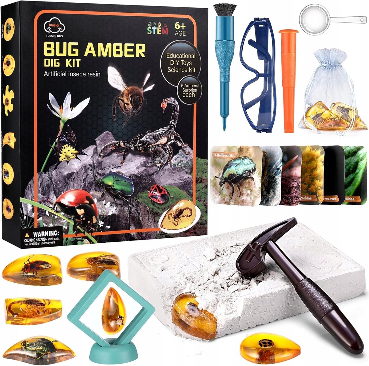 Amber Mijn Archeologie Set met Insecten - Leerzaam Speelgoed