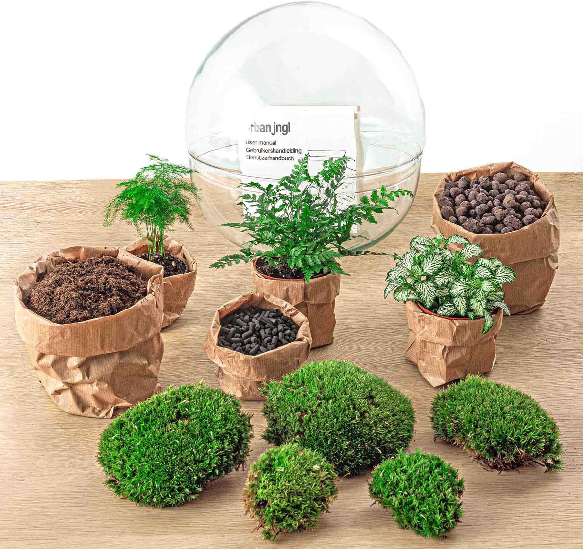 Terrarium - Dome XL - ↑ 30 cm - Ecosysteem plant - Kamerplanten - DIY planten terrarium - Mini ecosysteem + Hark + Schep + Pincet