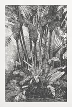 JUNIQE - Poster in houten lijst Palms in Water -40x60 /Grijs & Zwart