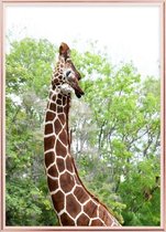 Poster Met Metaal Rose Lijst - Elegante Giraffe Poster