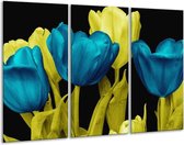 Glasschilderij Tulp - Blauw, Geel, Zwart - 120x80cm 3Luik - Foto Op Glas - Geen Acrylglas Schilderij - GroepArt 6000+ Glas Art Collectie - Maatwerk Mogelijk