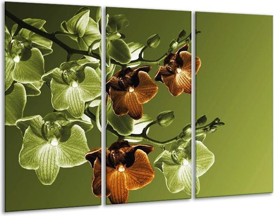 Glasschilderij Orchidee - Groen, Bruin - 120x80cm 3Luik - Foto Op Glas - Geen Acrylglas Schilderij - GroepArt 6000+ Glas Art Collectie - Maatwerk Mogelijk
