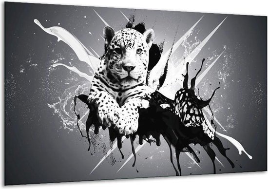 Glasschilderij Dieren - Zwart, Wit, Grijs - 120x70cm 1Luik - Foto Op Glas - Geen Acrylglas Schilderij - GroepArt 6000+ Glasschilderijen Art Collectie - Wanddecoratie - Woonkamer - Slaapkamer