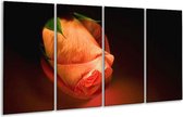 GroepArt - Glasschilderij - Roos - Oranje, Zwart, Groen - 160x80cm 4Luik - Foto Op Glas - Geen Acrylglas Schilderij - 6000+ Glasschilderijen Collectie - Wanddecoratie