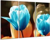 GroepArt - Schilderij -  Tulp - Blauw, Oranje, Bruin - 120x80cm 3Luik - 6000+ Schilderijen 0p Canvas Art Collectie