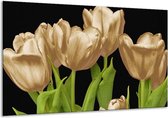 Peinture sur toile Tulipes | Or, vert, noir | 120x70cm 1Hatch