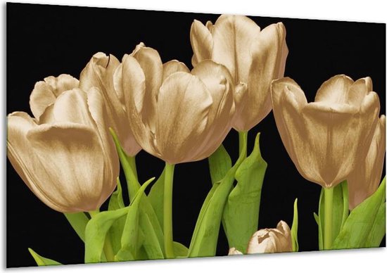 Schilderij Op Canvas Tulpen - Goud, Groen, Zwart - 120x70cm 1Luik - Foto Op Canvas - GroepArt 6000+ Schilderijen 0p Canvas Art Collectie - Wanddecoratie - Woonkamer - Slaapkamer - Canvas Print