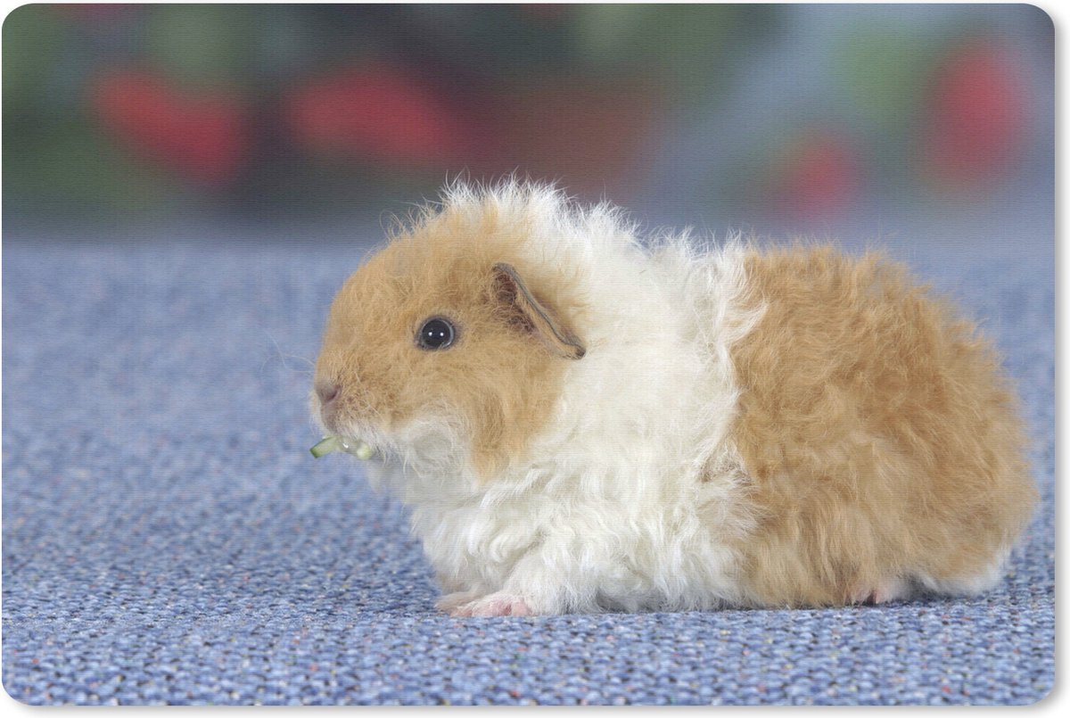 Muismat Cavia - Texel cavia muismat rubber - 27x18 cm - Muismat met foto