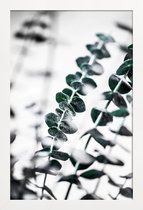 JUNIQE - Poster in houten lijst Eucalyptus 1 -30x45 /Groen & Wit