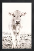 JUNIQE - Poster met houten lijst Blonde Cattle Maverick -13x18 /Ivoor