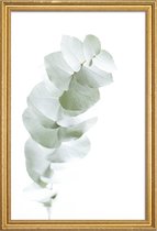 JUNIQE - Poster met houten lijst Eucalyptus White 1 -20x30 /Groen &