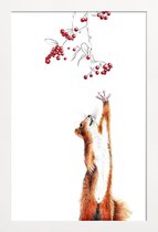 JUNIQE - Poster in houten lijst Squirrel -20x30 /Wit