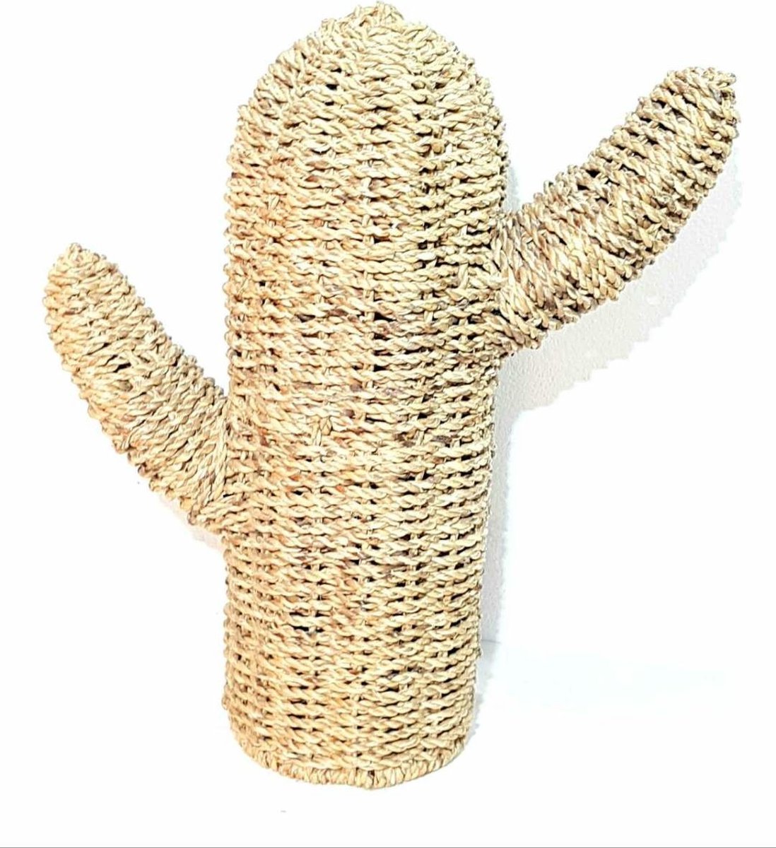 Fine Asianliving Handgevlochten Jute Cactus Decoratie 50x50cm Handgemaakt in Thailand
