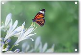 Vlinder - Tuinposter 90x60 - Wanddecoratie - Dieren - Natuur