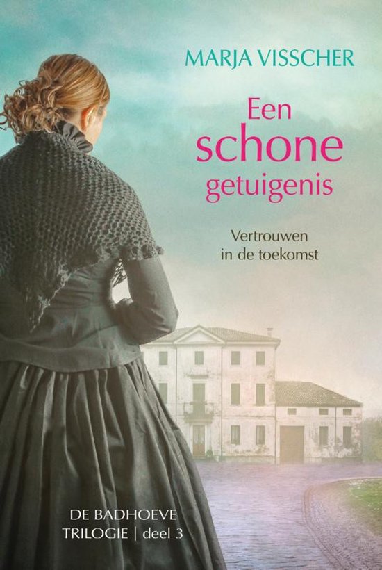 Badhoeve 3 -   Een schone getuigenis - cover