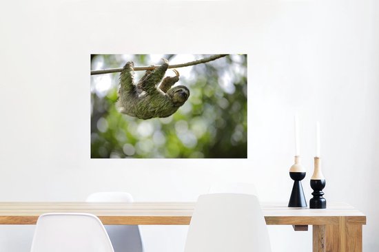 Affiche - Un paresseux accroché dans les arbres - 60x40 cm