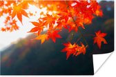 Poster Herfstbladeren in Japan - 180x120 cm XXL