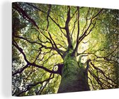 Canvas Schilderij Takken van een oude boom - 60x40 cm - Wanddecoratie