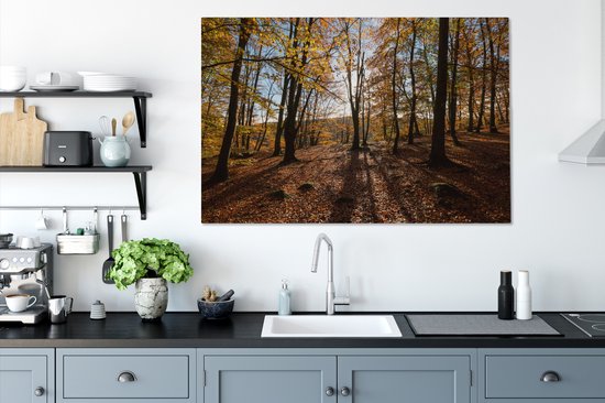 Couleurs d'automne dans les bois du parc national suédois Söderåsen Toile 120x80 cm - Tirage photo sur toile (Décoration murale salon / chambre)