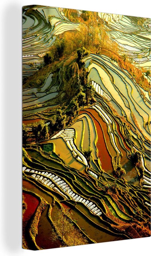 Canvas Schilderij Prachtig kleurenpalet van rijstvelden in China - 40x60 cm - Wanddecoratie