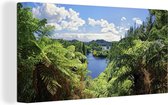 Canvas Schilderij Panorama van het Nationaal park Whanganui in Nieuw-Zeeland - 80x40 cm - Wanddecoratie