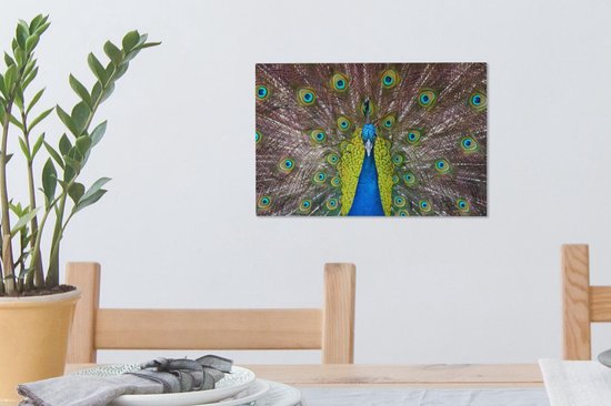 Mâle paon exhibe ses plumes rouges Toile 30x20 cm - petit - Tirage photo sur toile (Décoration murale salon / chambre)