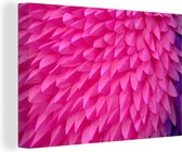 Canvas Schilderij Roze veren structuur - 60x40 cm - Wanddecoratie