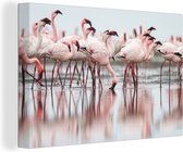 OneMillionCanvasses - Canvas - Natuur - Flamingo - Roze - Reflectie - ;;end_product;size;; - Kamer decoratie - Wanddecoratie - Canvas doek
