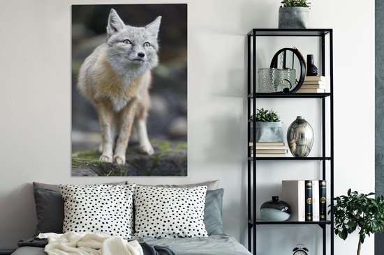 Toile Steppevos 80x120 cm - Tirage photo sur toile (Décoration murale salon / chambre) / Peintures sur toile Animaux