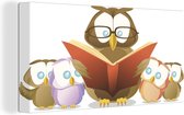 Une illustration d'une lecture à haute voix hibou toile 40x20 cm - impression photo sur toile peinture Décoration murale salon / chambre à coucher) / Animaux sauvages Peintures Toile