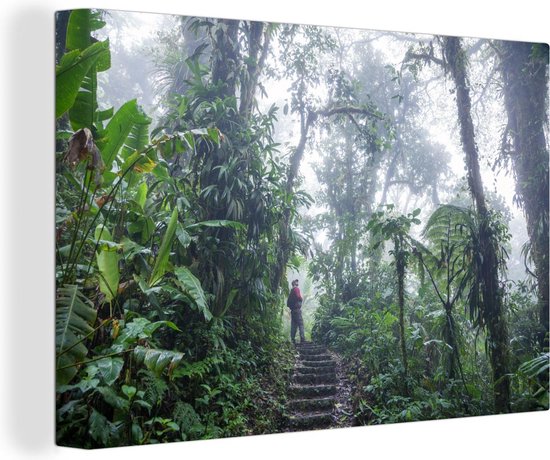 Canvas Schilderij Een trappen-pad door het mistige tropische regenwoud van Costa Rica - 90x60 cm - Wanddecoratie