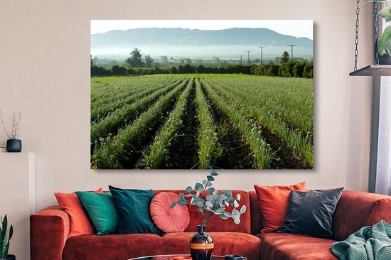 Canvas schilderij 150x100 cm - Wanddecoratie Uien in het veld met uitzicht op de bergen - Muurdecoratie woonkamer - Slaapkamer decoratie - Kamer accessoires - Schilderijen