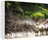 Canvas Schilderij Leeuw jaagt op wilde dieren in het Nationaal park Serengeti - 90x60 cm - Wanddecoratie