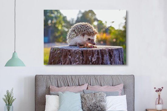 Tableau sur toile Manger un hérisson - 150x100 cm - Décoration murale