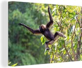 Canvas Schilderij Springende aap in de jungle - 60x40 cm - Wanddecoratie
