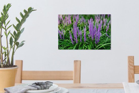 Gros plan herbe ornementale violette 30x20 cm - petit - Tirage photo sur toile (Décoration murale salon / chambre) / Peintures sur toile Fleurs