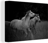 Canvas Schilderij Twee galopperende paarden in een grasland in zwart-wit - 40x30 cm - Wanddecoratie