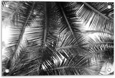 Tuinposter – Zwart Wit Foto van Grote Bladeren - 60x40cm Foto op Tuinposter  (wanddecoratie voor buiten en binnen)